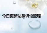 今日更新法律诉讼流程