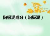阳极泥成分（阳极泥）