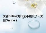 大剑online为什么不能玩了（大剑Online）