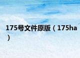 175号文件原版（175ha）