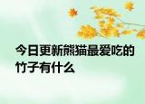 今日更新熊猫最爱吃的竹子有什么