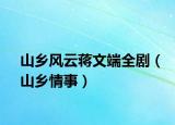 山乡风云蒋文端全剧（山乡情事）