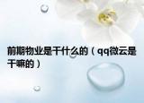 前期物业是干什么的（qq微云是干嘛的）