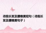 待我长发及腰唯美短句（待我长发及腰唯美句子）