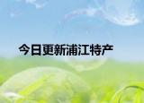 今日更新浦江特产