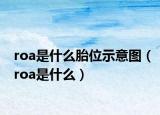 roa是什么胎位示意图（roa是什么）