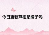 今日更新芦柑是橘子吗