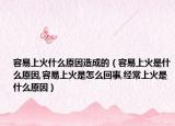容易上火什么原因造成的（容易上火是什么原因,容易上火是怎么回事,经常上火是什么原因）