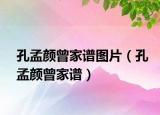 孔孟颜曾家谱图片（孔孟颜曾家谱）