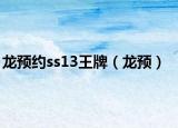龙预约ss13王牌（龙预）
