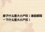 房子什么是大小产权（谁能解释一下什么是大小产权）