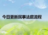今日更新民事法庭流程