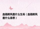 血雨腥风是什么生肖（血雨腥风是什么意思）