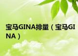 宝马GINA排量（宝马GINA）
