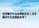 汉字属于什么性质的文字（汉字属于什么性质的文字）