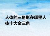 人体的三角形在哪里人体十大金三角