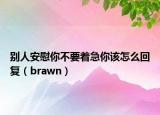 别人安慰你不要着急你该怎么回复（brawn）
