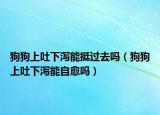 狗狗上吐下泻能挺过去吗（狗狗上吐下泻能自愈吗）