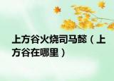 上方谷火烧司马懿（上方谷在哪里）