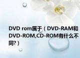 DVD rom属于（DVD-RAM和DVD-ROM,CD-ROM有什么不同?）