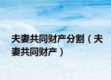 夫妻共同财产分割（夫妻共同财产）