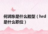 何润东是什么脸型（hrd是什么职位）