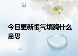 今日更新恨气填胸什么意思