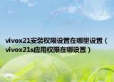 vivox21安装权限设置在哪里设置（vivox21s应用权限在哪设置）