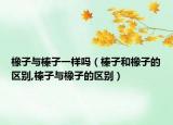 橡子与榛子一样吗（榛子和橡子的区别,榛子与橡子的区别）
