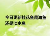 今日更新桂花鱼是海鱼还是淡水鱼