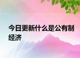 今日更新什么是公有制经济