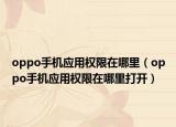oppo手机应用权限在哪里（oppo手机应用权限在哪里打开）