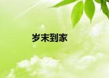岁末到家