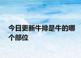 今日更新牛排是牛的哪个部位