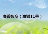 海獭智商（海獭11号）