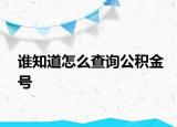 谁知道怎么查询公积金号