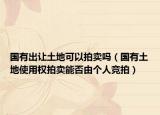 国有出让土地可以拍卖吗（国有土地使用权拍卖能否由个人竞拍）