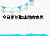 今日更新揪咪是啥意思