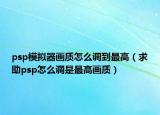 psp模拟器画质怎么调到最高（求助psp怎么调是最高画质）