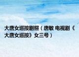 大唐女巡按剧照（唐敏 电视剧《大唐女巡按》女三号）