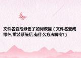 文件名变成绿色了如何恢复（文件名变成绿色,重装系统后,有什么方法解密?）