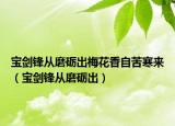 宝剑锋从磨砺出梅花香自苦寒来（宝剑锋从磨砺出）