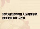 韭菜黄和韭菜有什么区别韭菜黄和韭菜黄有什么区别