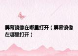 屏幕镜像在哪里打开（屏幕镜像在哪里打开）