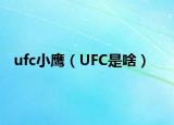 ufc小鹰（UFC是啥）