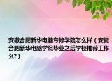 安徽合肥新华电脑专修学院怎么样（安徽合肥新华电脑学院毕业之后学校推荐工作么?）