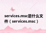 services.msc是什么文件（services.msc）