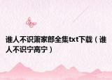 谁人不识萧家郎全集txt下载（谁人不识宁高宁）