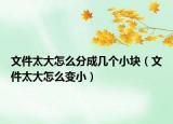 文件太大怎么分成几个小块（文件太大怎么变小）