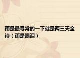 雨是最寻常的一下就是两三天全诗（雨是眼泪）